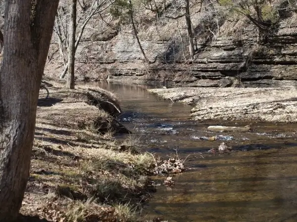 david crockett state park