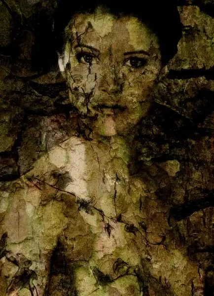 decompose