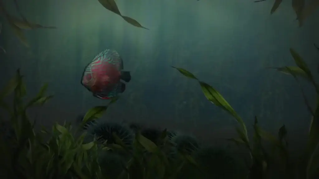 decorated fish swimming in aqua