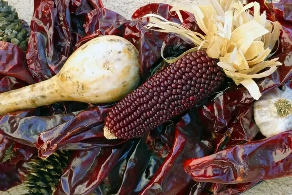 decoration corn dried