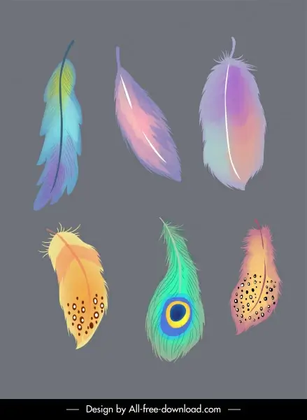 decorative feathers icons colorful retro handdrawn
