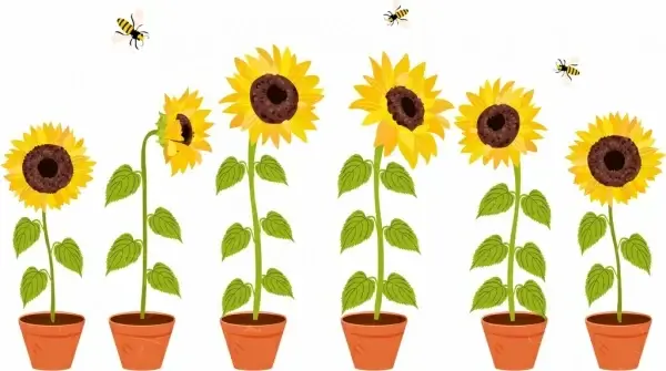 decorative flora drawing sunflower pots honeybees icons