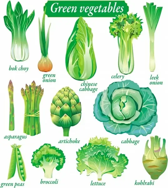 organic vegetables icons fresh green sketch
