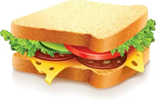 delicious fast food vector set
