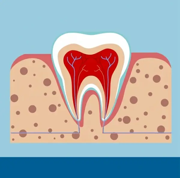 dental background tooth gum icon flat cutting design