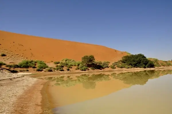 desert dune water