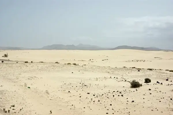 desert loneliness arid