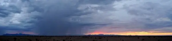 desert rain