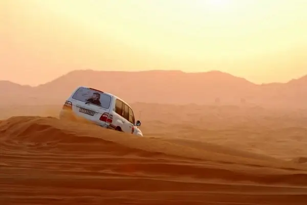 desert safari