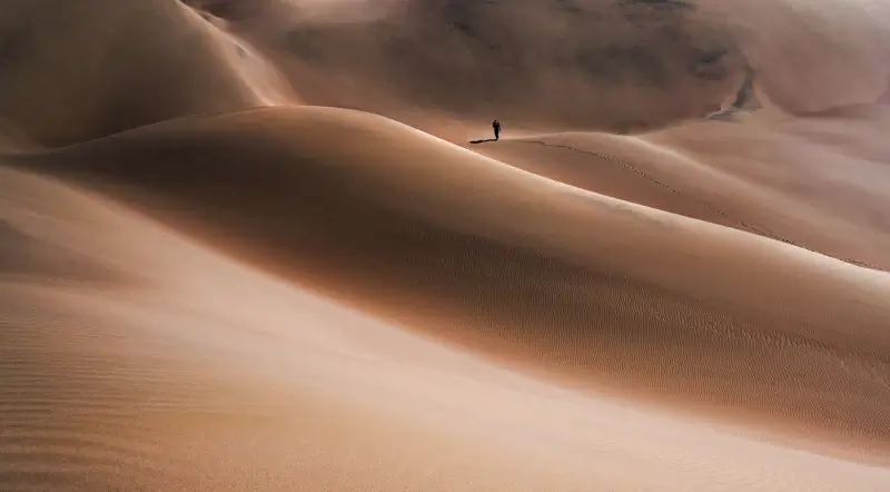 desert scenery picture modern contrast