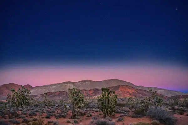desert sunset