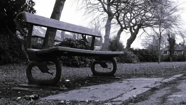 deserted bench