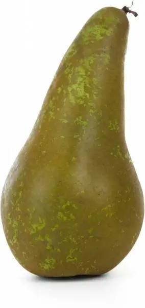 diet food fresh