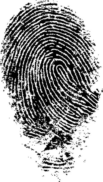 different fingerprints design elements vector
