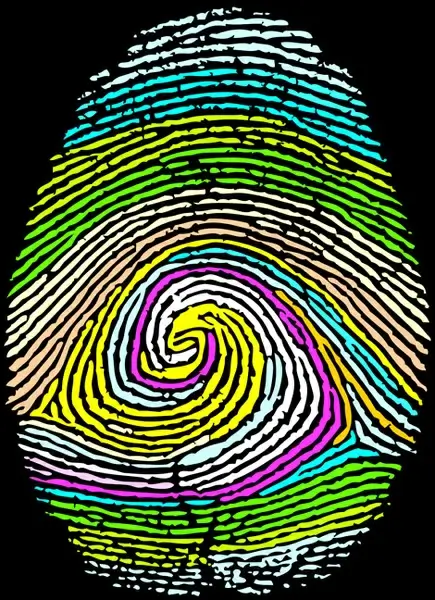 different fingerprints design elements vector