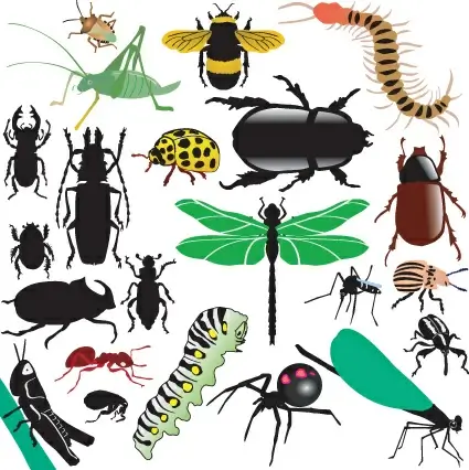 different insects design vector 