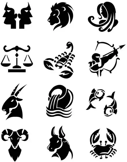 Different signs of the zodiac design vector Vectors graphic art designs ...