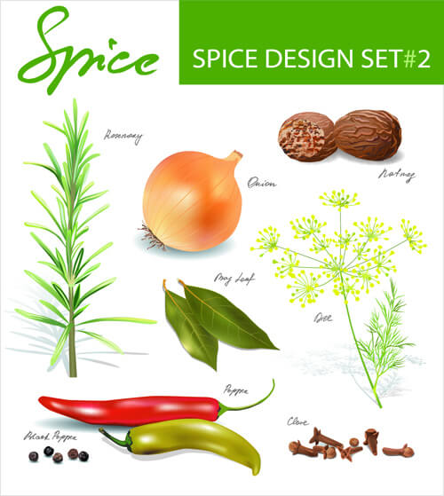 different spices design set vector