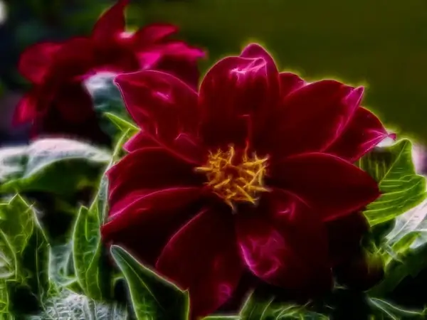 digital art fragile shiny