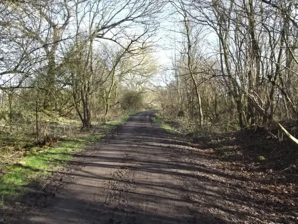 dirt path nature trail 