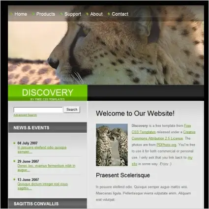 discovery