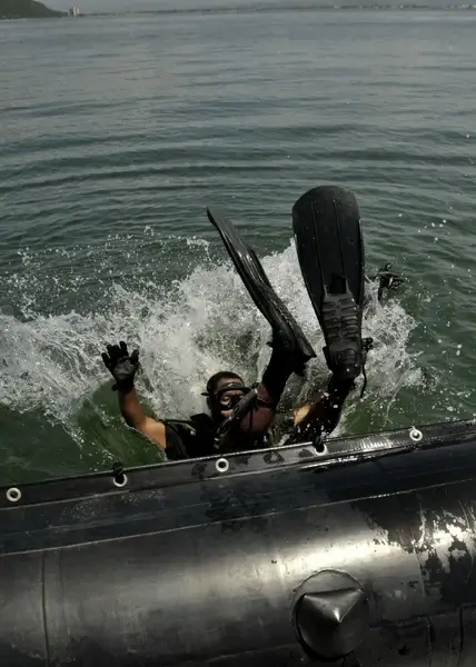 diver diving sea