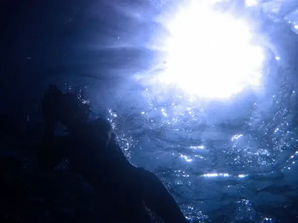 diver from beneath
