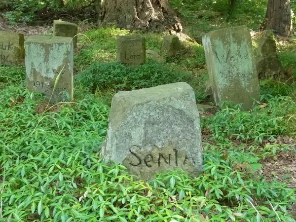 dogs pets grave