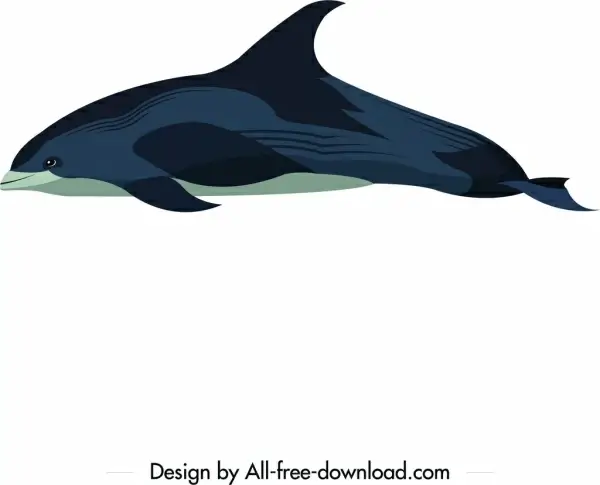 dolphin animal icon colored cartoon sketch