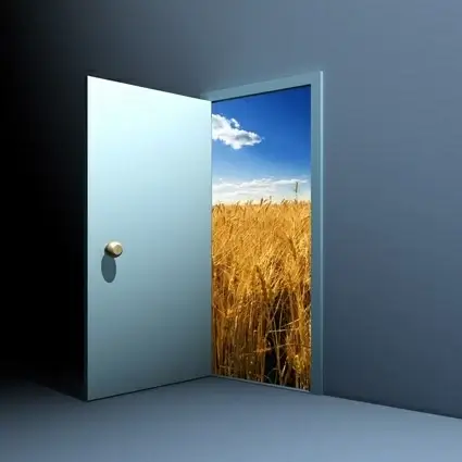 doors and windows picture 6