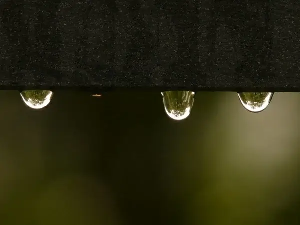 drip raindrop water