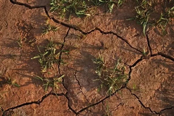 drought