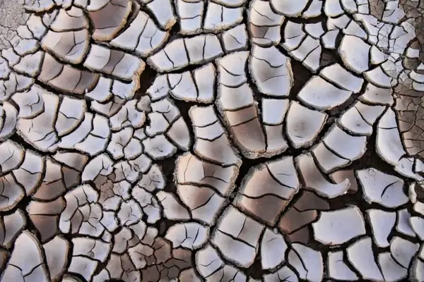 dry soil