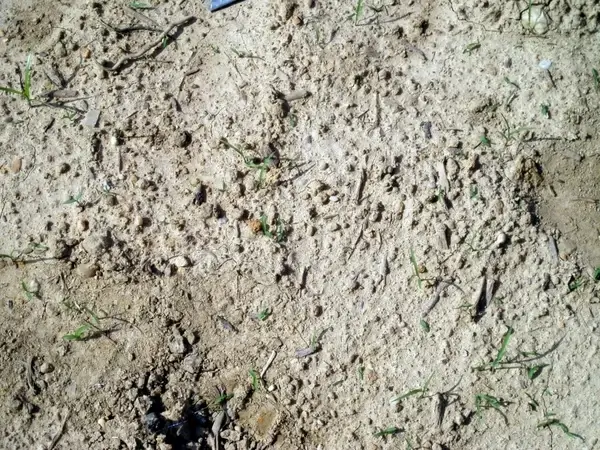 dry soil texture
