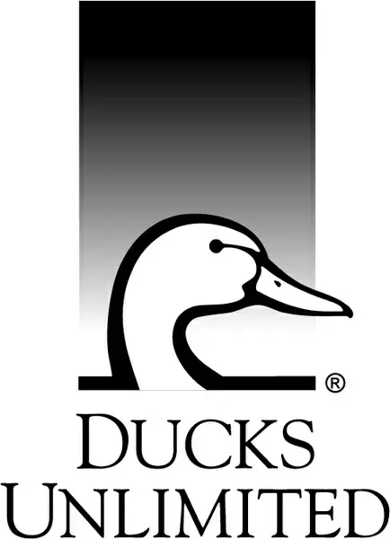 ducks unlimited 1