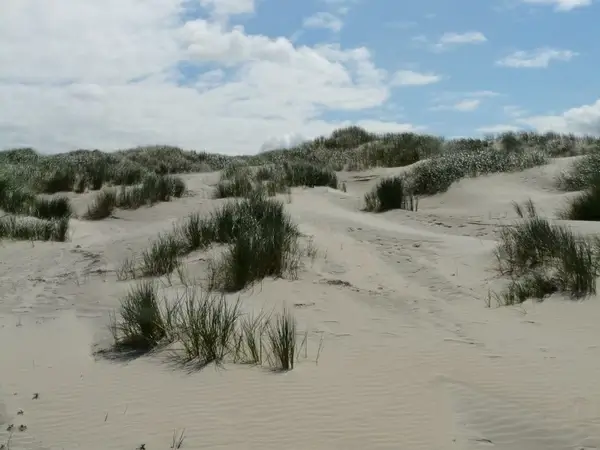 dunes north sea sea