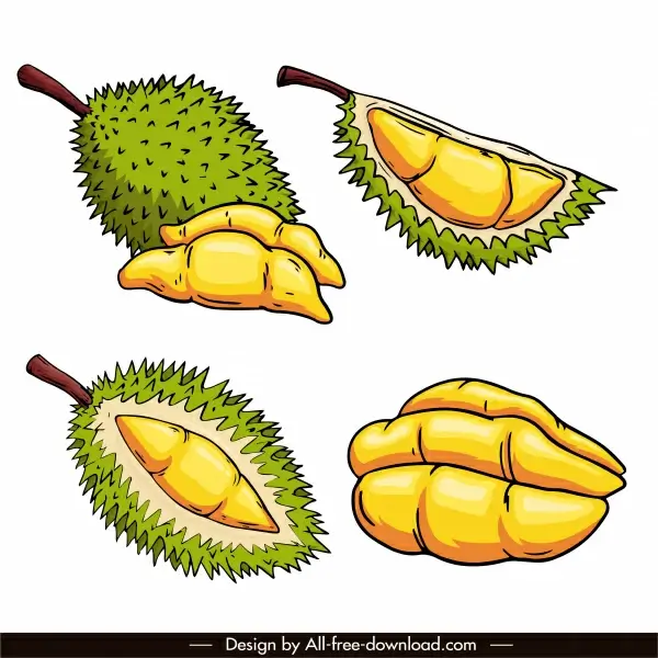 durian icons classic design handdrawn sketch