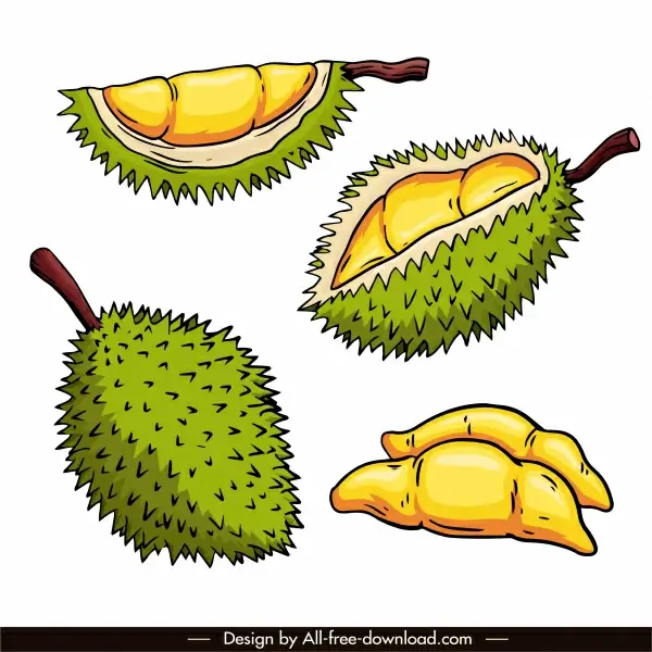 durian icons retro handdrawn sketch