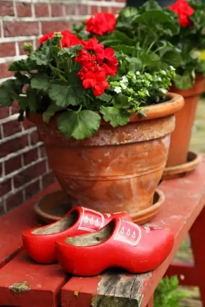 dutch still life