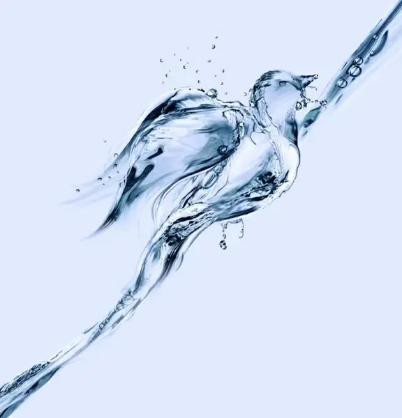 dynamic the pictographic animal spray and the birds