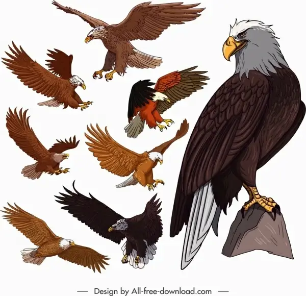 eagle icons colored cartoon sketch