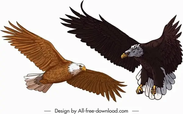 eagle icons colored cartoon sketch flying gesture
