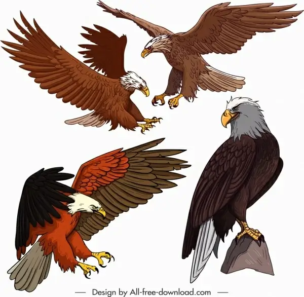 eagle icons flying perching gesture sketch