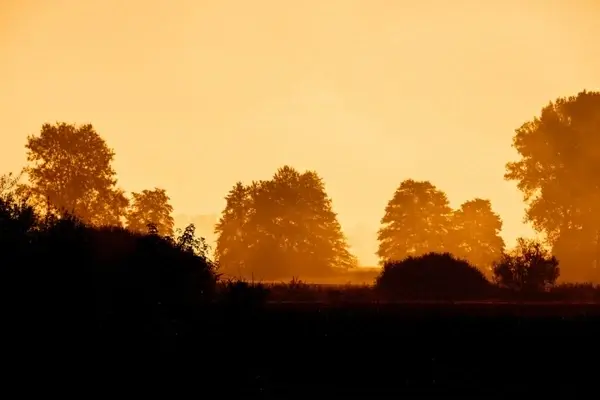 early morning sun