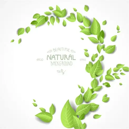 eco style beautiful natural background vector