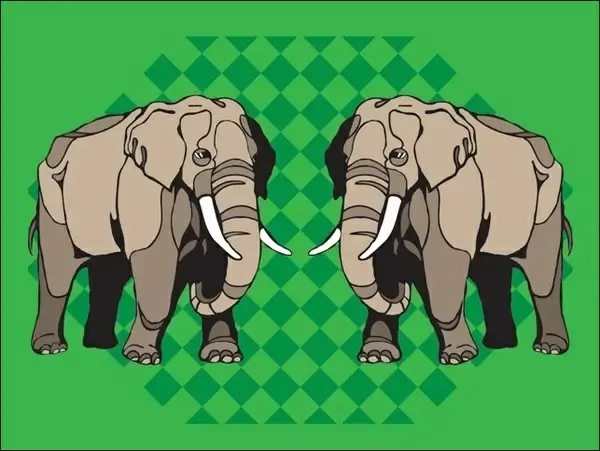 
								Elefante							