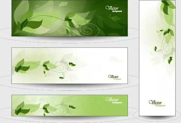 elegant web banner design vector