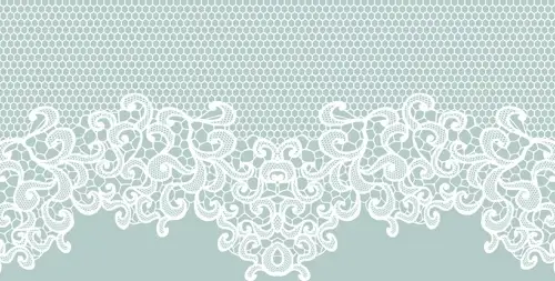 elegant white lace vector background
