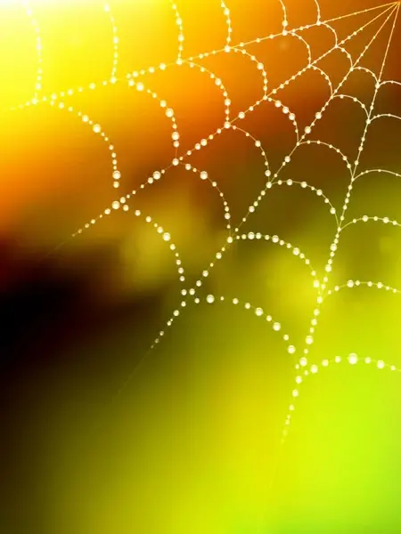 elements of dew and spider web vector