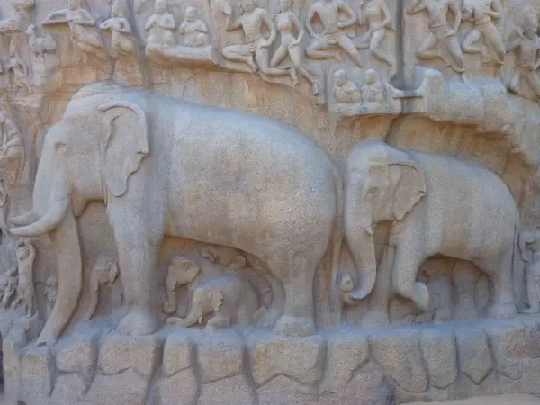 elephant relief descent of the ganga